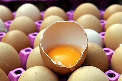 Yumurta 1 lira olacak