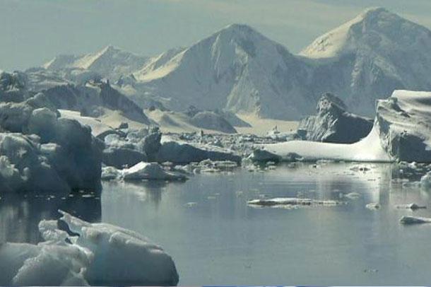  O viskiler yeniden Antartika'ya gitti