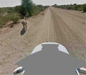 Google: O eşeği öldürmedik