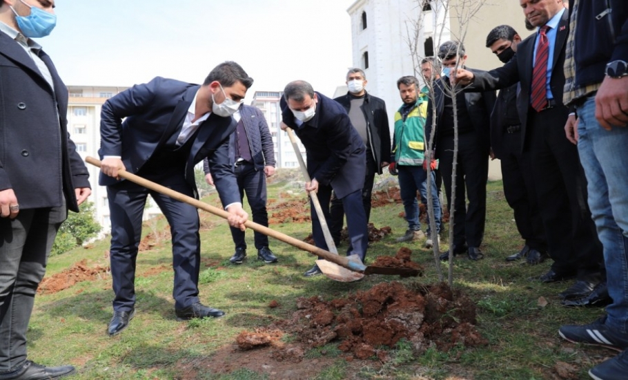 BAŞKAN BAYDİLLİ GENÇLERLE NAR FİDANI DİKTİ