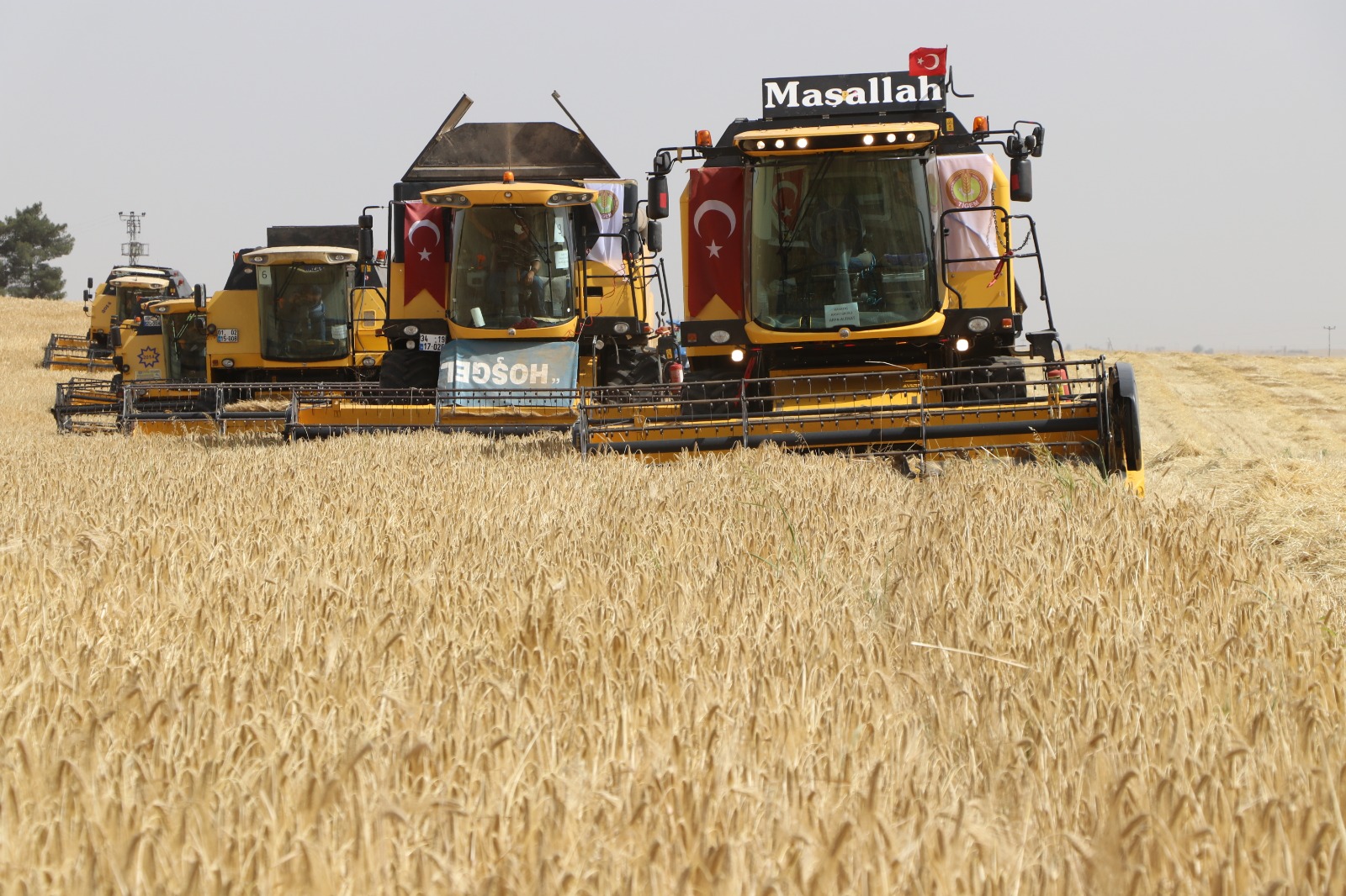 Hasat Kaybını Önlemek İçin Tarla Kontrolleri Yapılacak