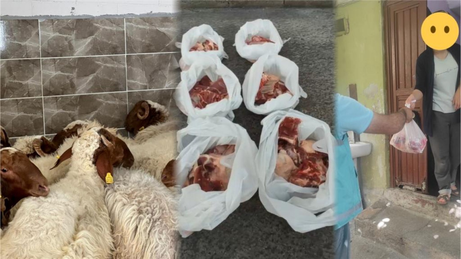 EYYÜBİYE BELEDİYESİ İHTİYAÇ SAHİPLERİ İÇİN 85 KURBAN KESTİ