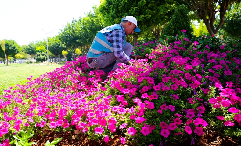 EYYÜBİYE PARKLARI ÇİÇEKLENİYOR