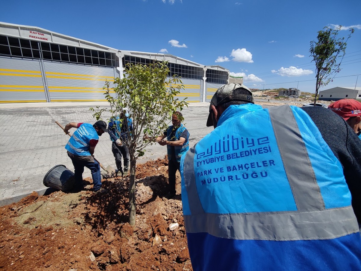 YEMYEŞİL EYYÜBİYE İÇİN DURMAK YOK