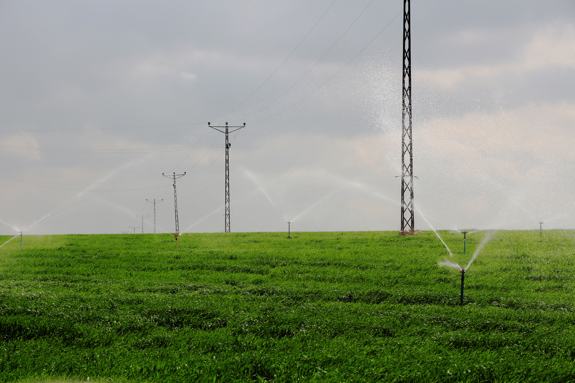 DEPSAŞ Enerji Faturalarını Ödemeyen Aboneleri Birkez Daha Uyardı