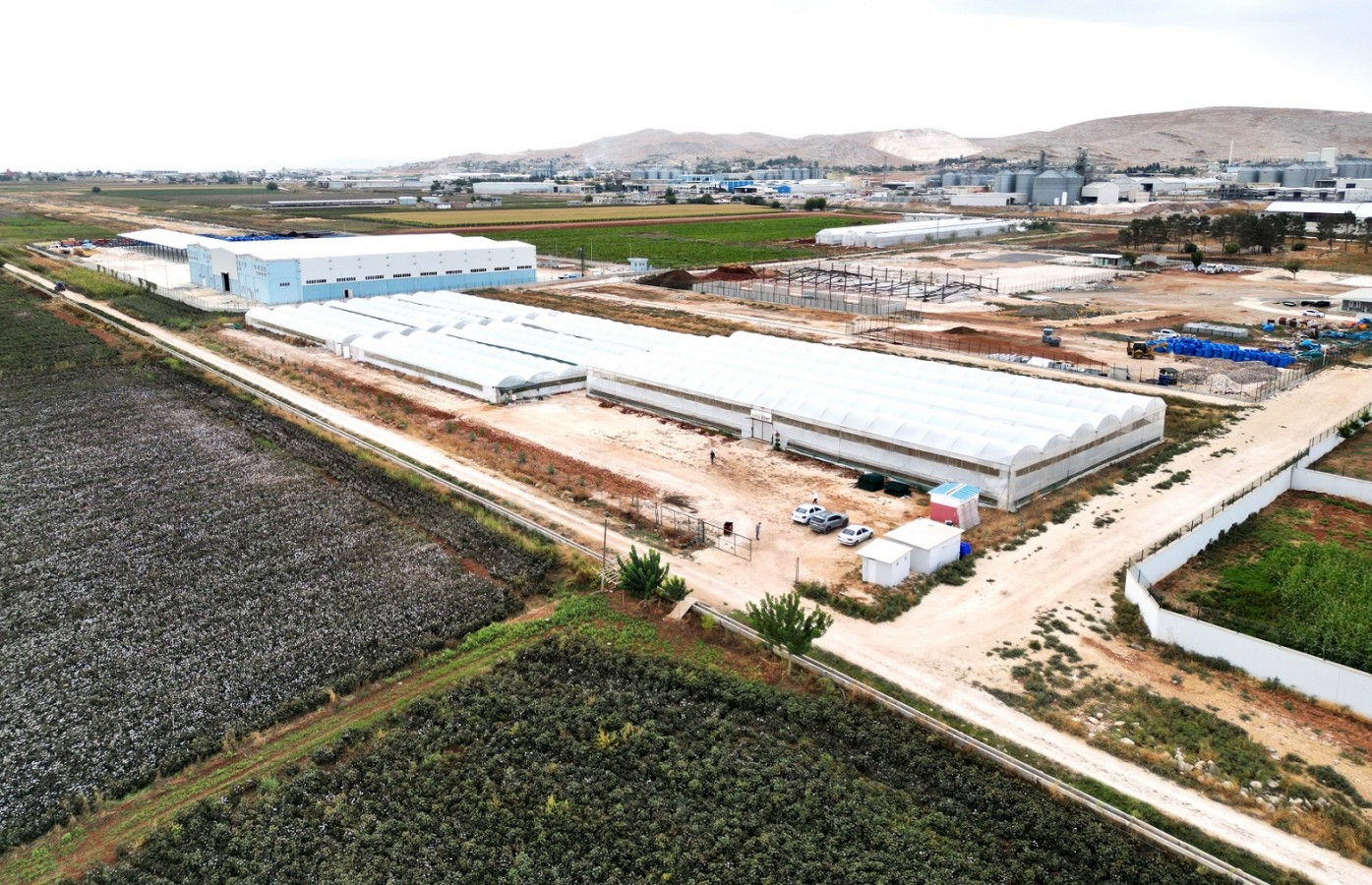 EYYÜBİYE SERA KENT’TE YENİ SEZON HASAT BAŞLADI