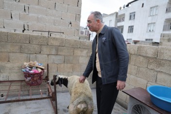 Eyyübiye’de 400 Aileye Ramazan